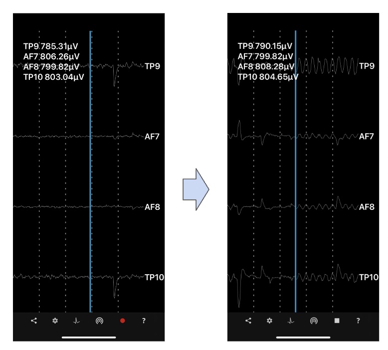 Signal Changes.jpg